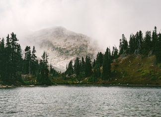 Choosing A Reliable Agency For Branding And Labeling