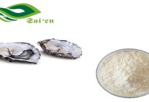How Oyster Peptides Support Immune Function and Overall Wellness